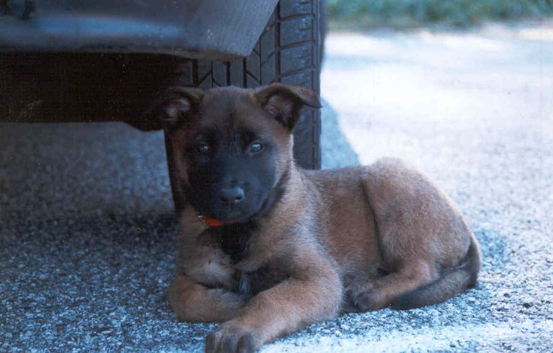 Run à quelques mois