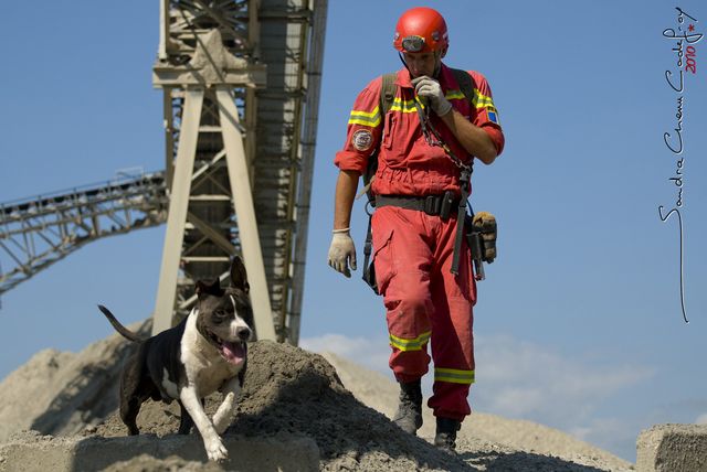 Dominique et Cobalt - Sablière de Rastatt - Sept. 2010 - Droits réservés